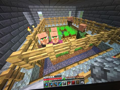 minecraft farmer villager not harvesting.